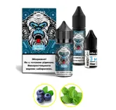 Набір Flavorlab FL350 30 мл 65 мг Чорниця ментол